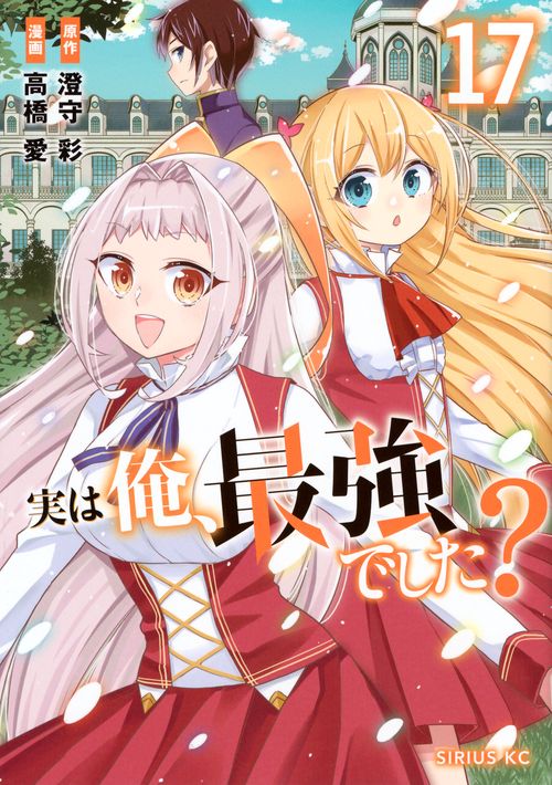実は俺、最強でした？（17）