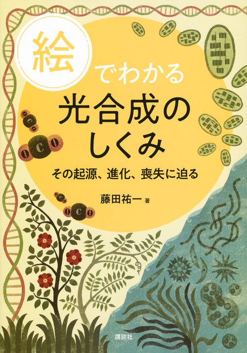 絵でわかる光合成のしくみ　その起源、進化、喪失に迫る