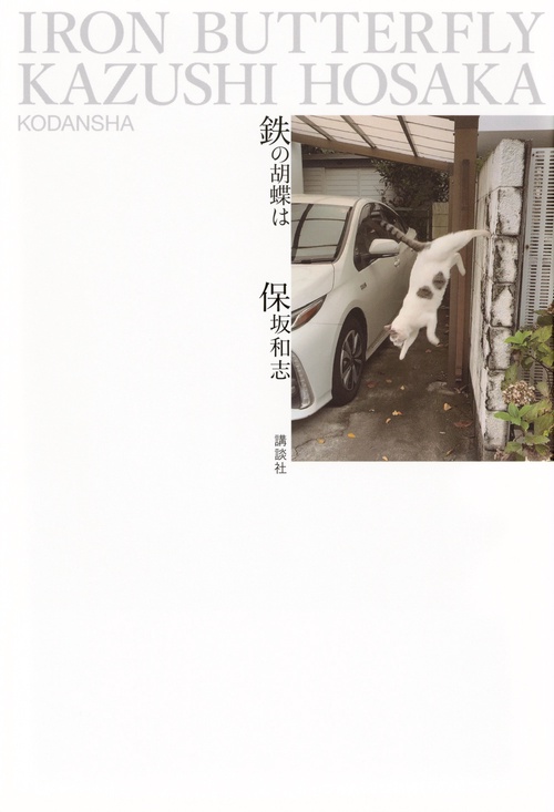 鉄の胡蝶は