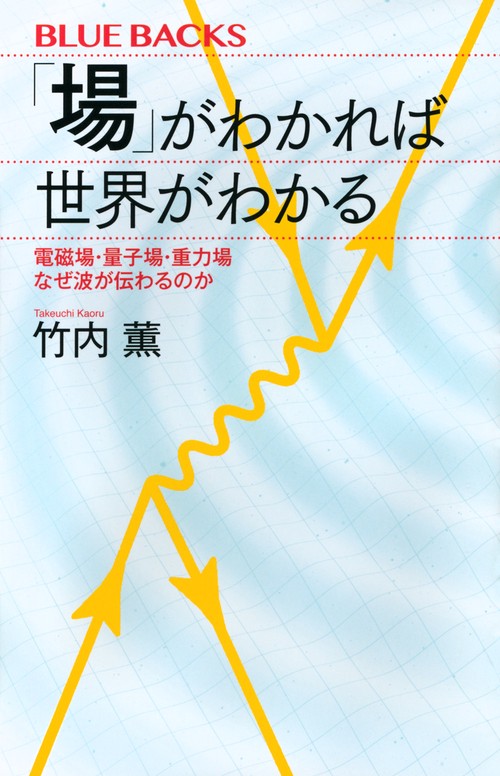 「場」がわかれば世界がわかる　電磁場・量子場・重力場　なぜ波が伝わるのか