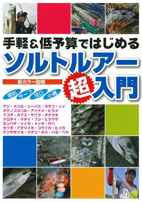 ソルトルアー超入門