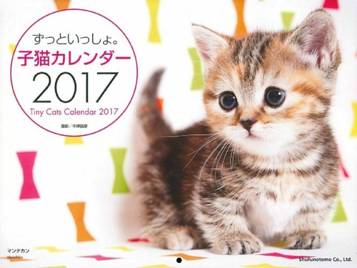 ずっといっしょ。子猫カレンダー２０１７