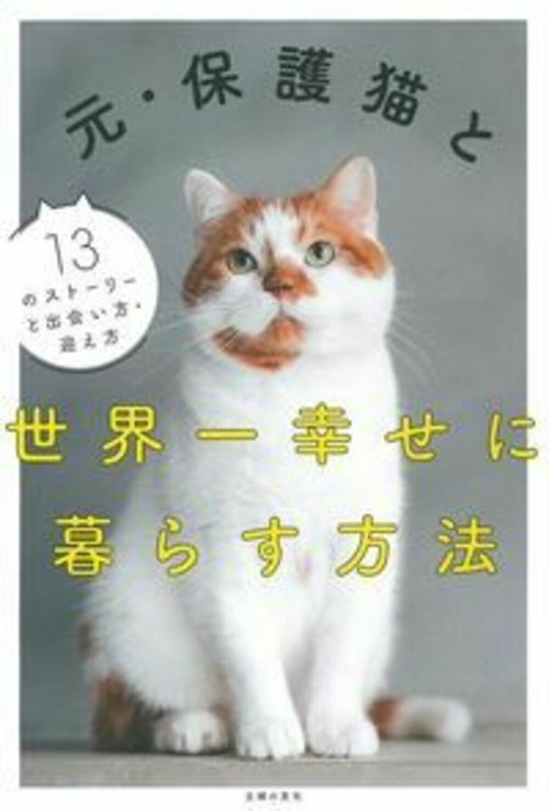 元・保護猫と世界一幸せに暮らす方法