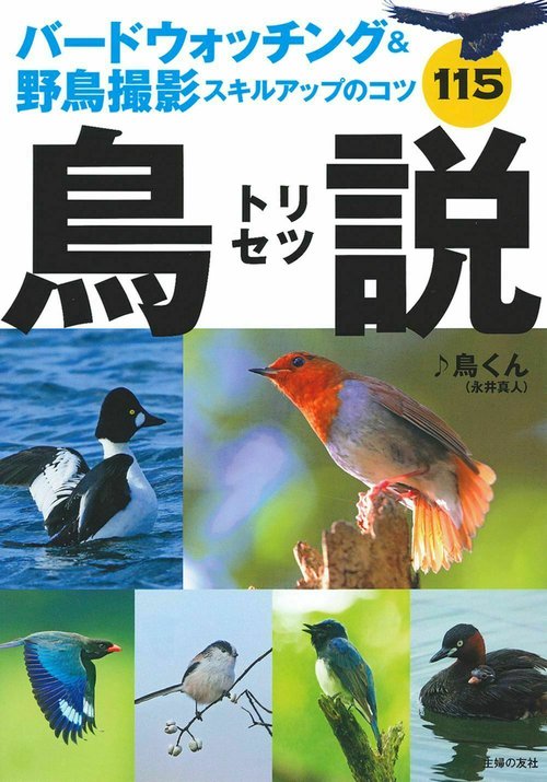 バードウォッチング＆野鳥撮影スキルアップのコツ１１５　鳥説