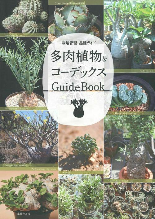 多肉植物＆コーデックス　ＧｕｉｄｅＢｏｏｋ