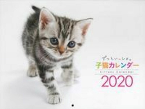ずっといっしょ。子猫カレンダー２０２０