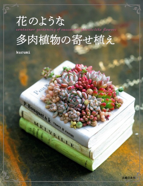花のような多肉植物の寄せ植え