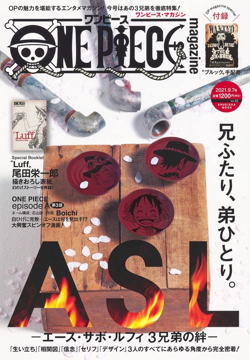 ONE PIECE magazine Vol.12