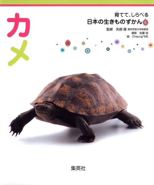 カメ 育てて、しらべる 日本の生きものずかん 6