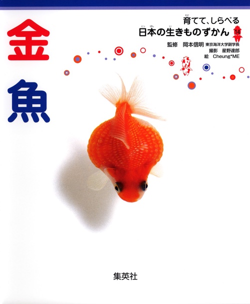 金魚 育てて、しらべる 日本の生きものずかん 14
