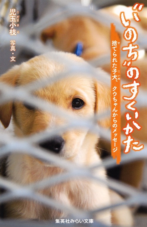 "いのち"のすくいかた 捨てられた子犬、クウちゃんからのメッセージ