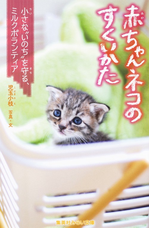 赤ちゃんネコのすくいかた 小さな"いのち"を守る、ミルクボランティア