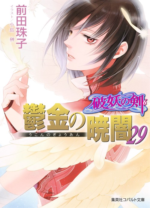 鬱金の暁闇 29