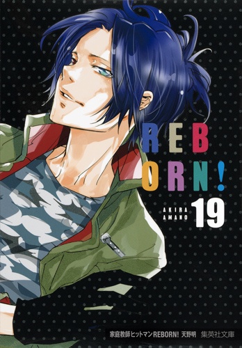 家庭教師(かてきょー)ヒットマンREBORN! 19