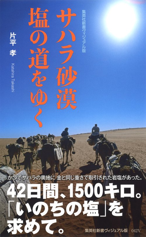 サハラ砂漠塩の道をゆく