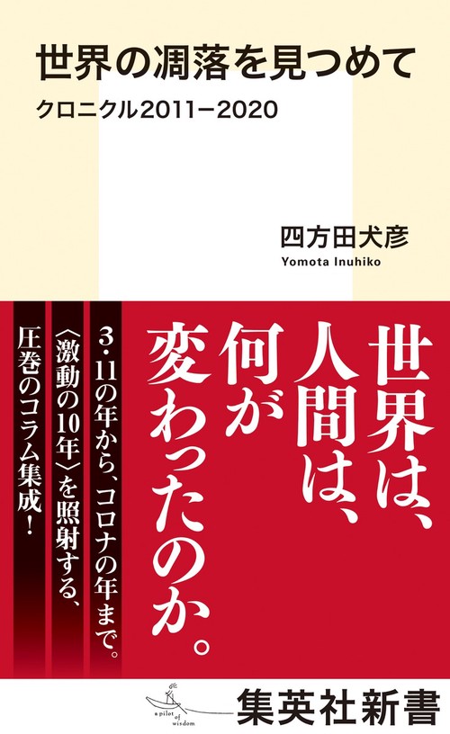 世界の凋落を見つめて クロニクル2011-2020