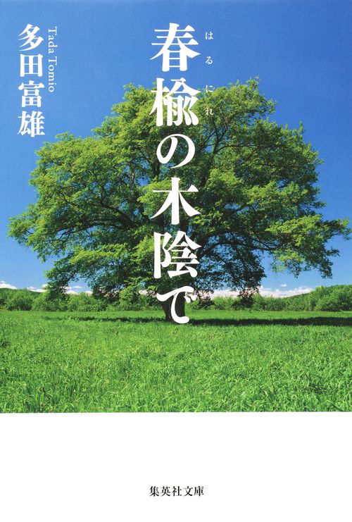 春楡の木陰で