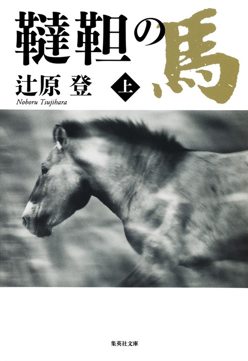 韃靼の馬 上