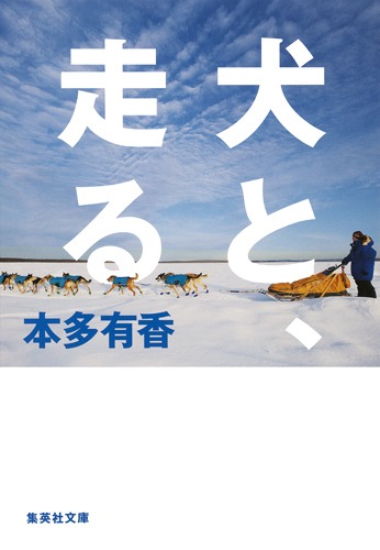 犬と、走る