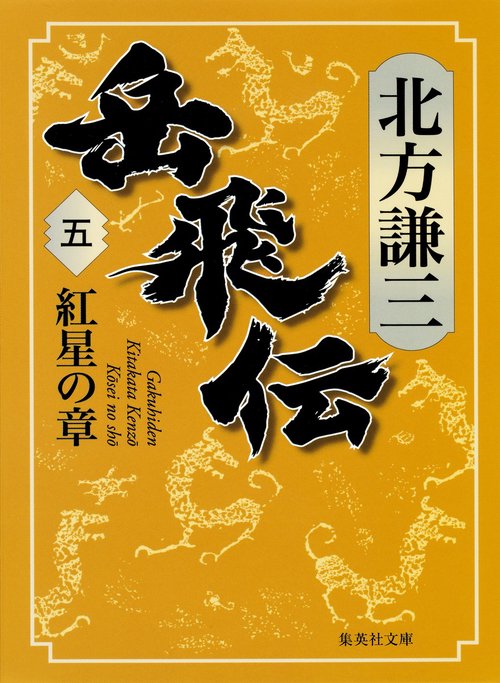岳飛伝 5 紅星の章