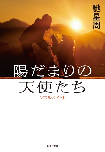 陽だまりの天使たち ソウルメイトⅡ
