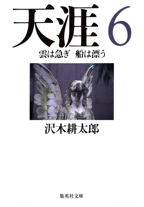 天涯 6