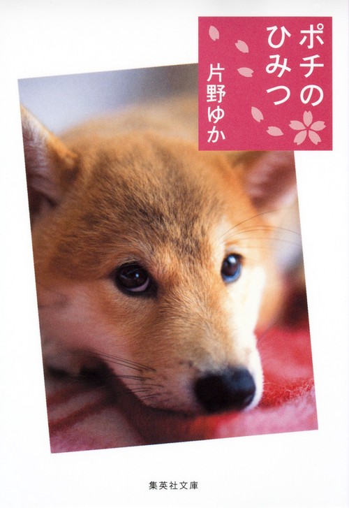 ポチのひみつ