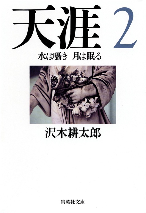 天涯 2