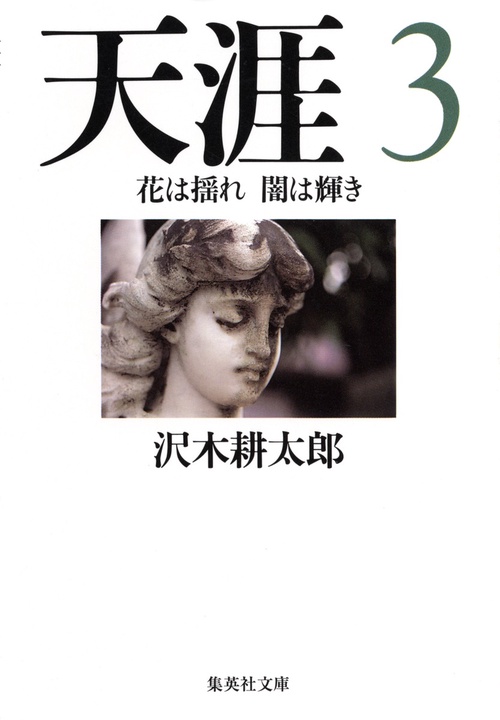 天涯 3