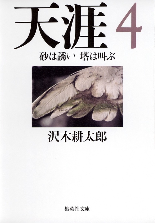天涯 4