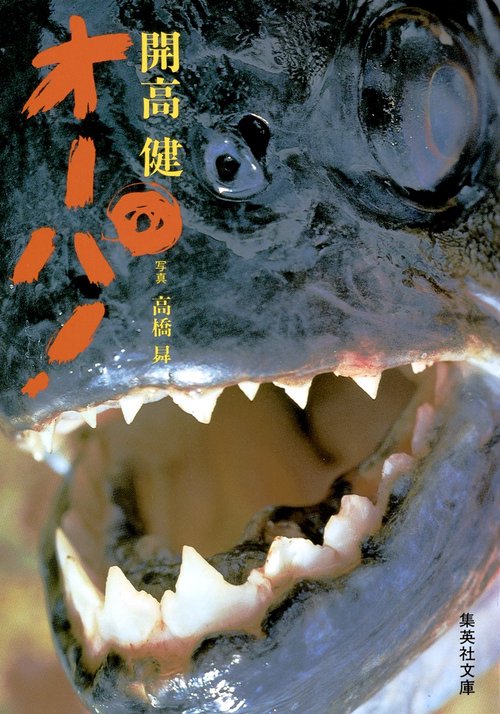 オーパ