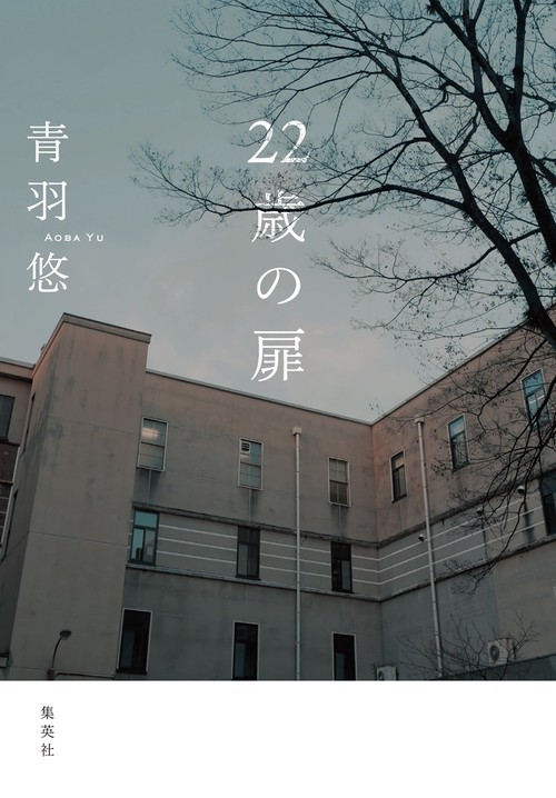 22歳の扉
