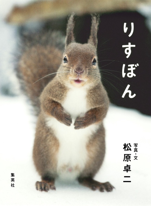 りすぼん