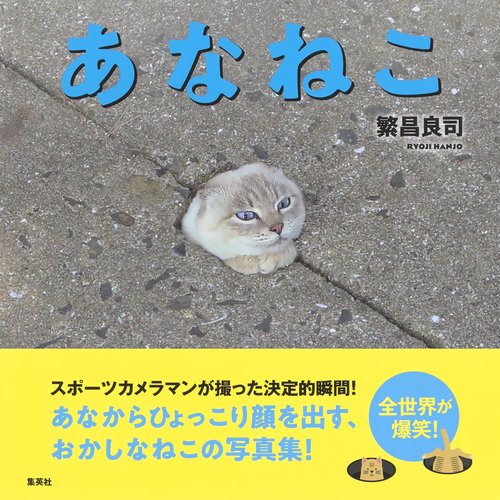 あなねこ