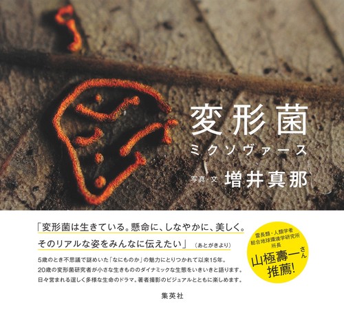 変形菌ミクソヴァース