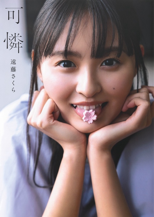 乃木坂46 遠藤さくら1st写真集 可憐 – 丸善ジュンク堂書店ネットストア