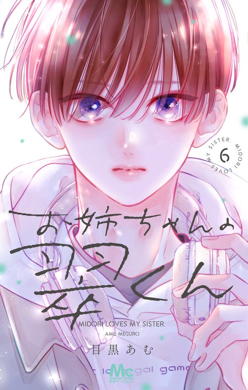 お姉ちゃんの翠くん 6