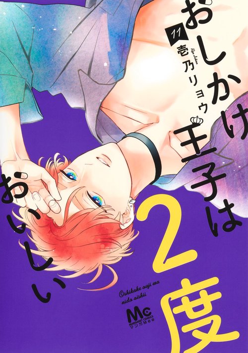 おしかけ王子は2度おいしい 11
