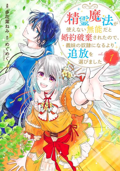 精霊魔法が使えない無能だと婚約破棄されたので、義妹の奴隷になるより追放を選びました 1