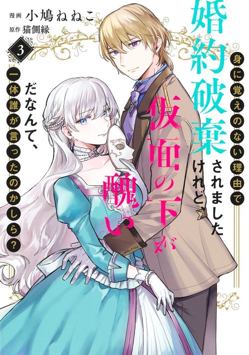 身に覚えのない理由で婚約破棄されましたけれど、仮面の下が醜いだなんて、一体誰が言ったのかしら？ 3