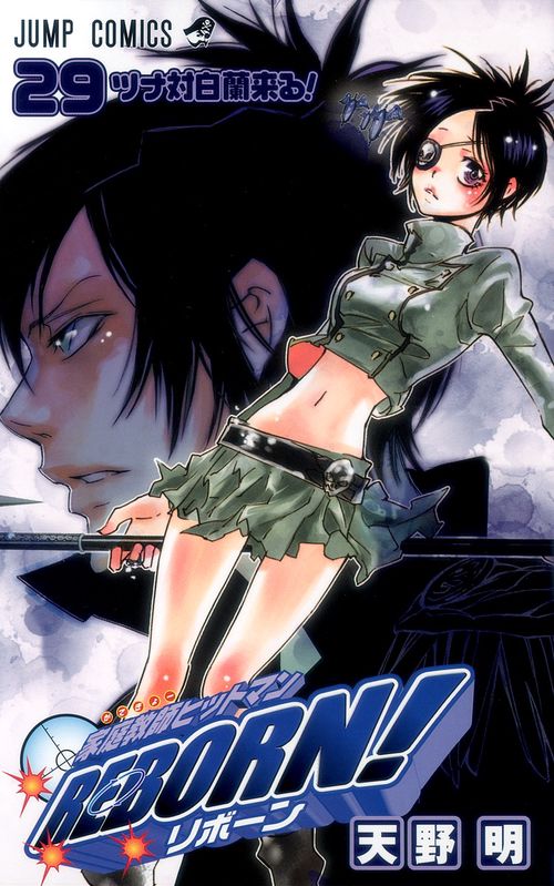 家庭教師(かてきょー)ヒットマンREBORN! 29