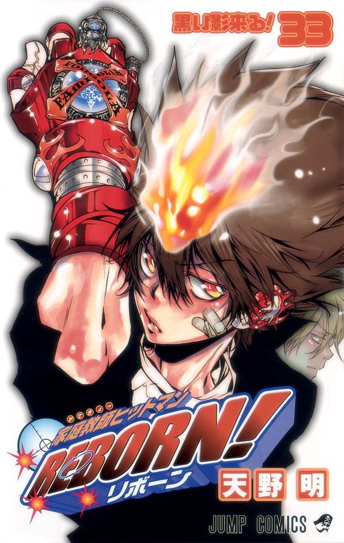 家庭教師(かてきょー)ヒットマンREBORN! 33