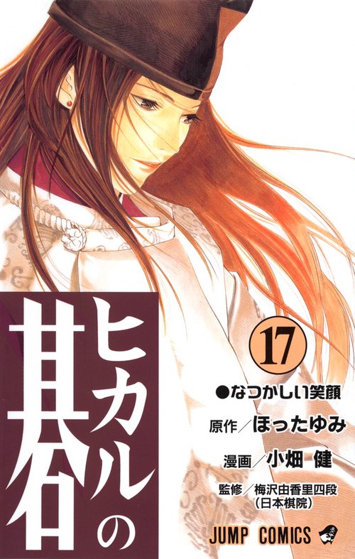 ヒカルの碁 17