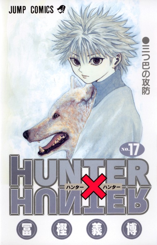 HUNTER×HUNTER 17