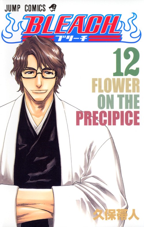 BLEACHブリーチ 12