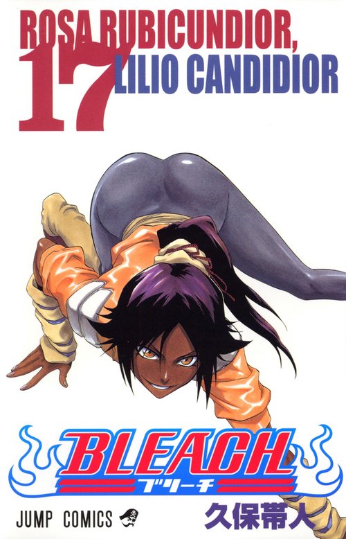 BLEACHブリーチ 17