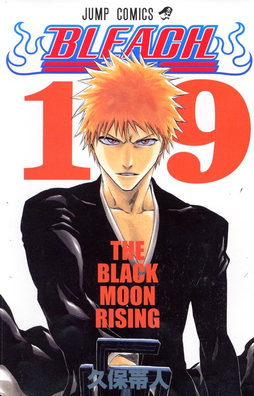 BLEACHブリーチ 19