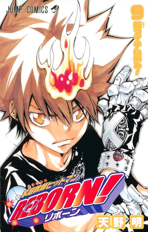 家庭教師ヒットマンREBORN! 9