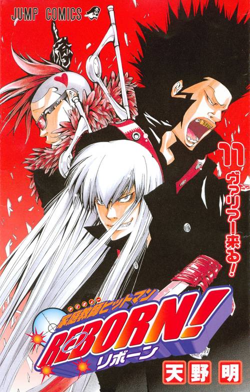 家庭教師ヒットマンREBORN! 11