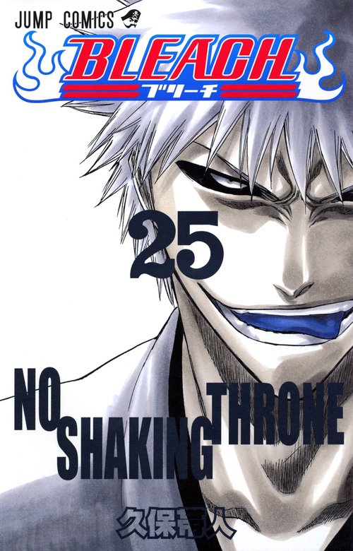 BLEACHブリーチ 25